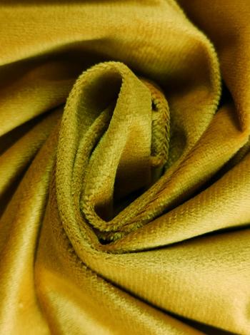 オランダ・ベルベット